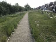 Click for all images